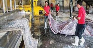 قالیشویی سروش